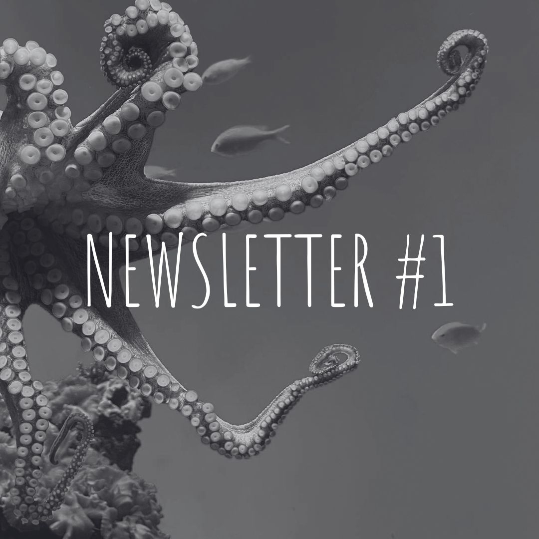 Newsletter #1