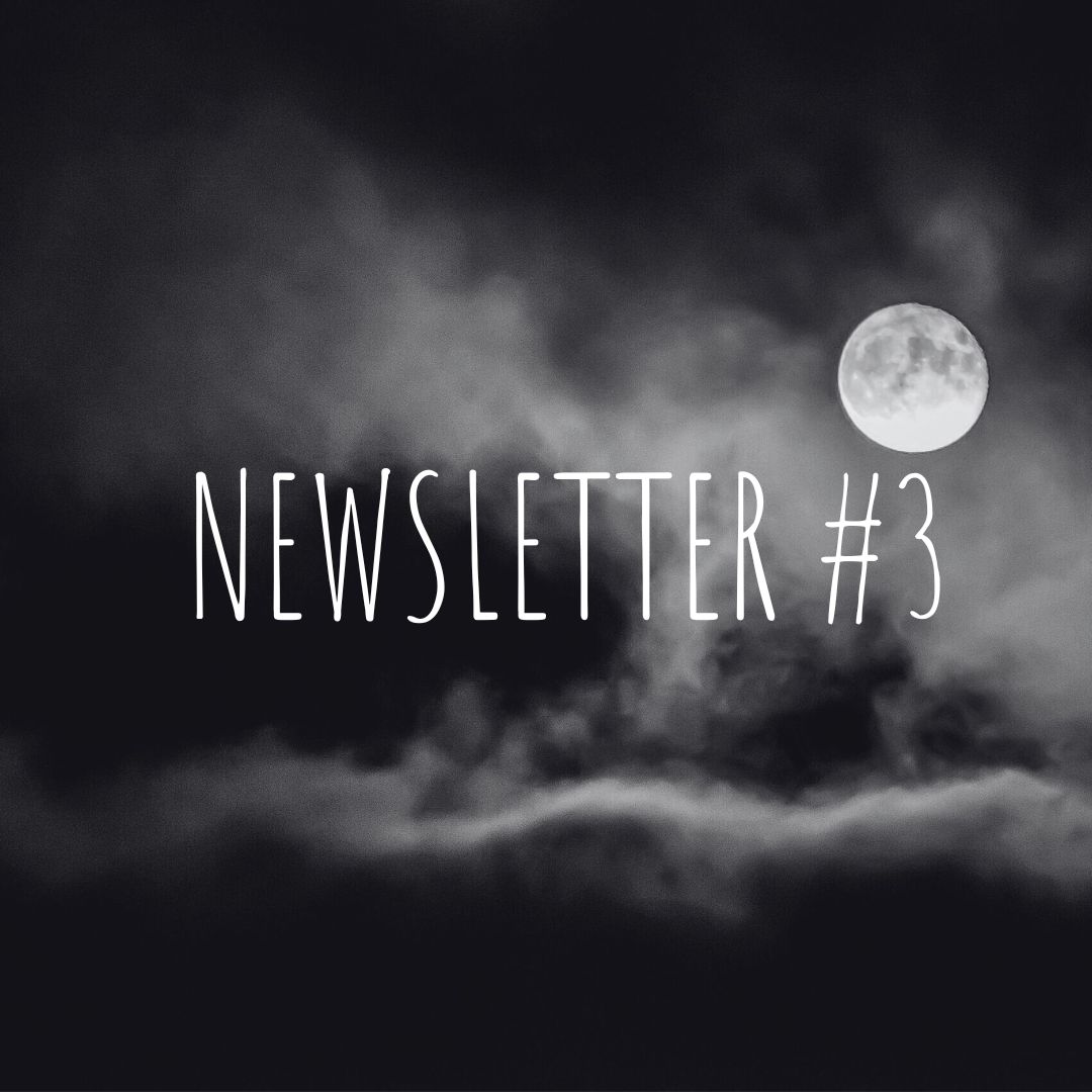 Newsletter #3