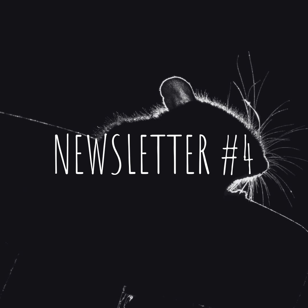 Newsletter #4