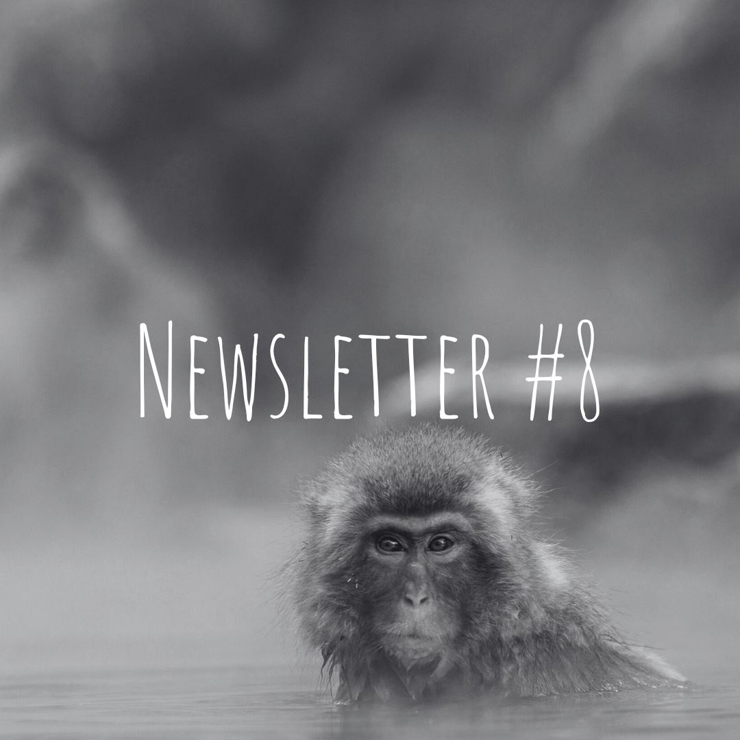 Newsletter #8