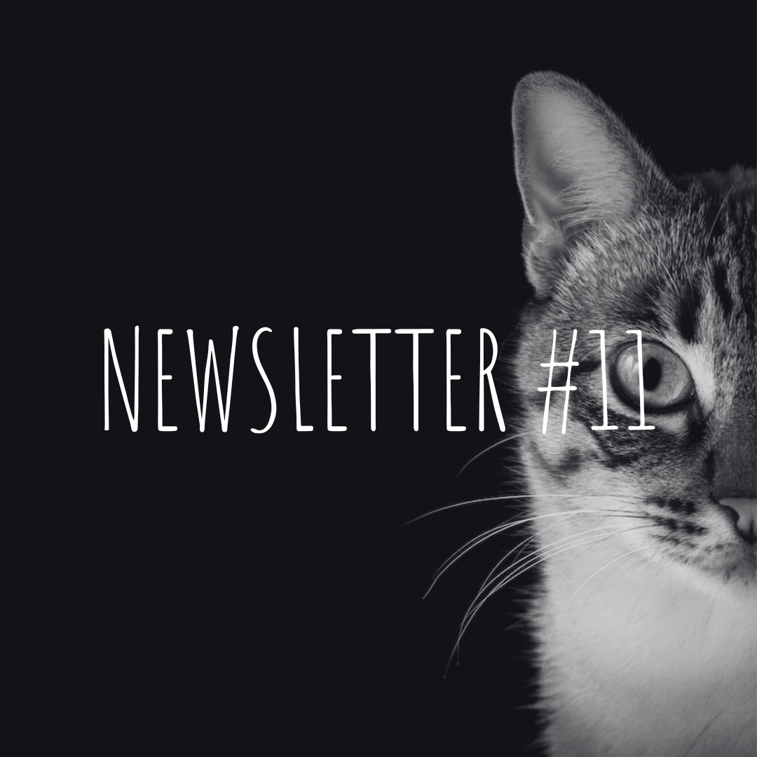 Newsletter #11