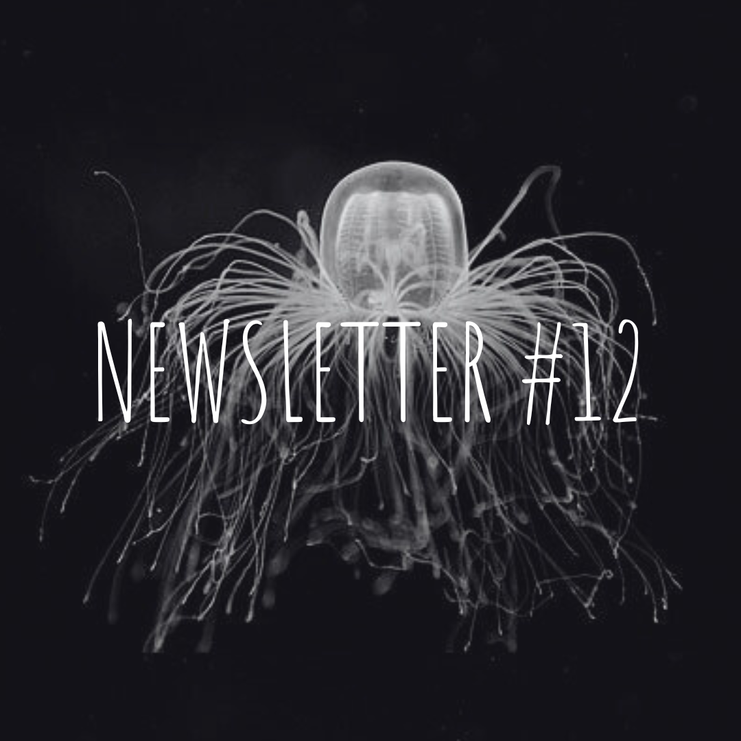 Newsletter #12