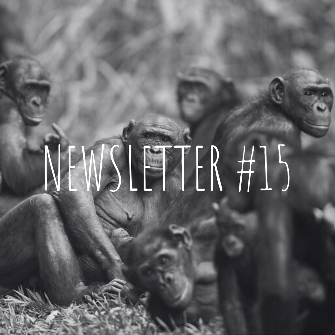 Newsletter #15