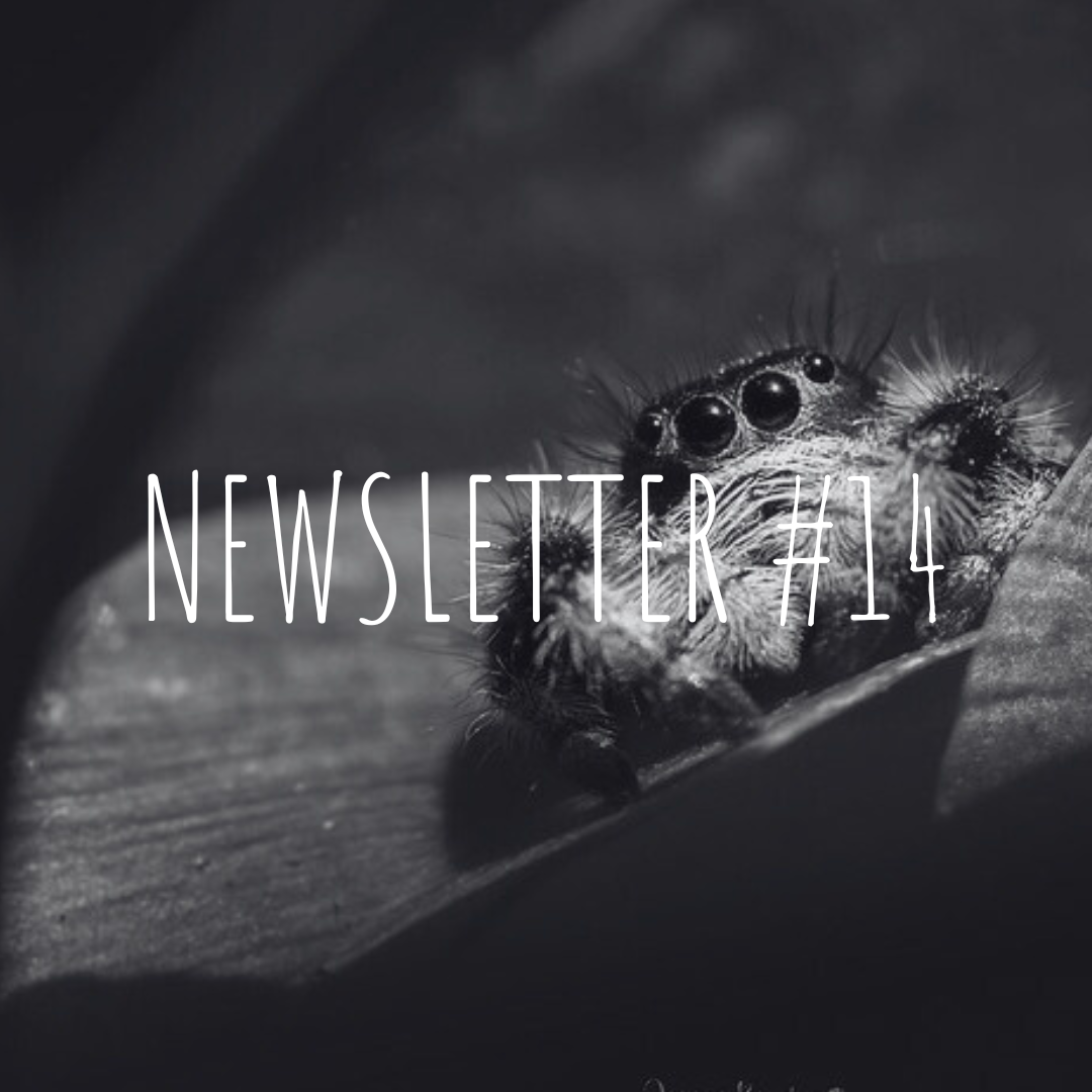 Newsletter #14