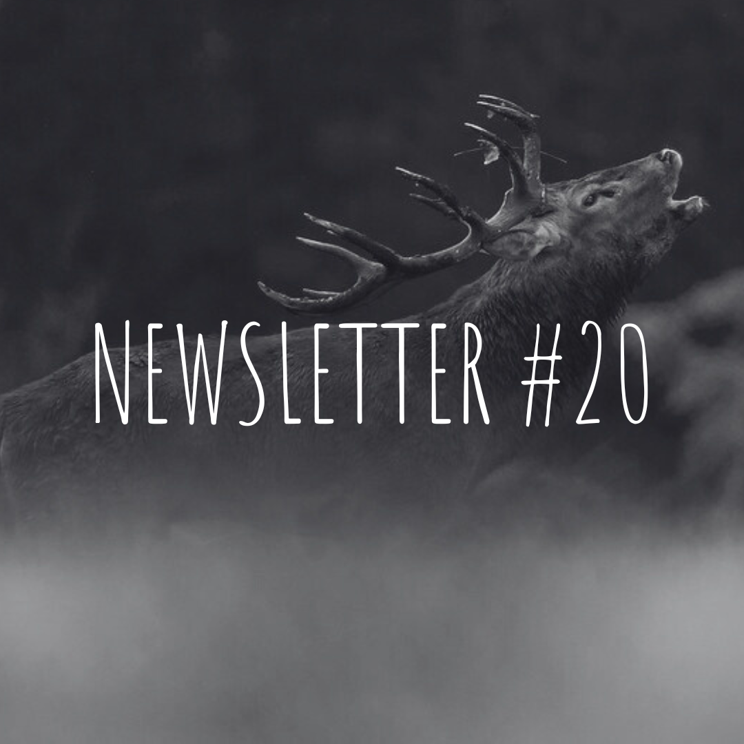 Newsletter #20