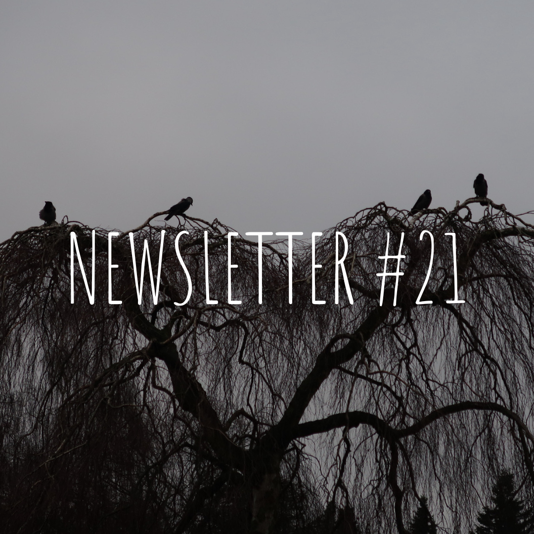 Newsletter #21