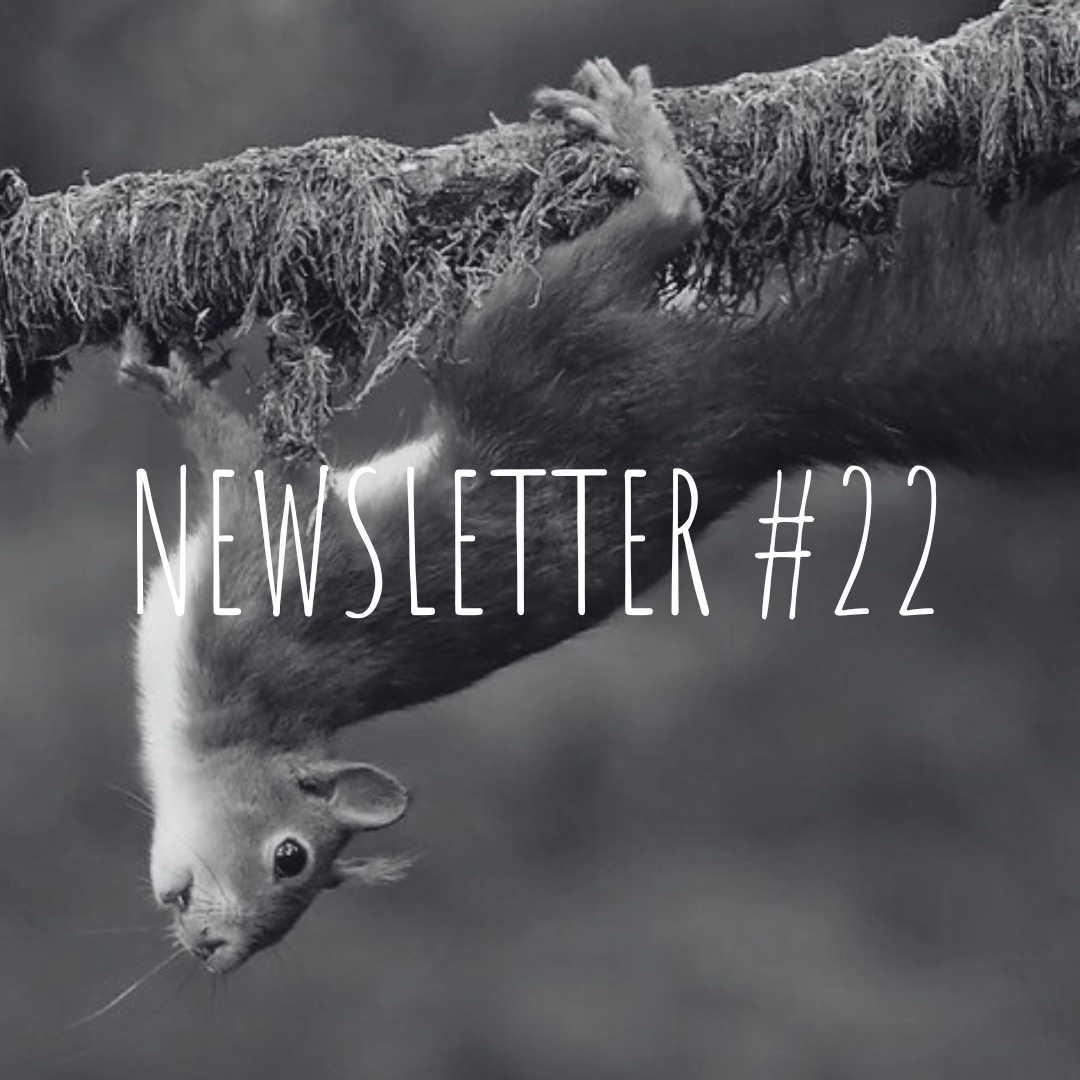 Newsletter #22