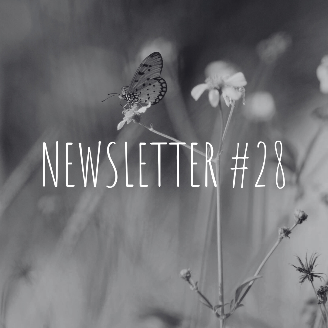 Newsletter #28