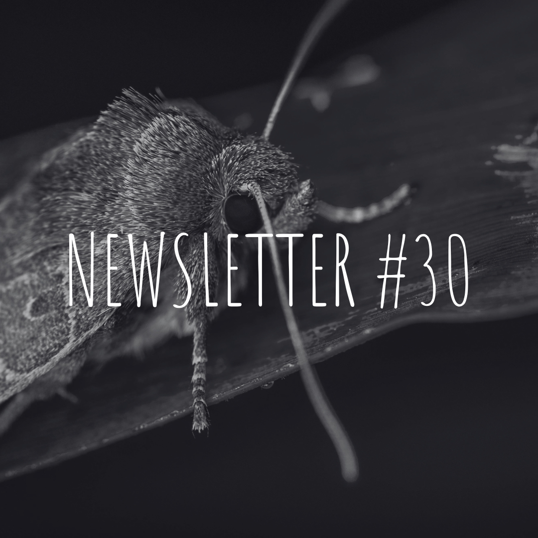 Newsletter #30